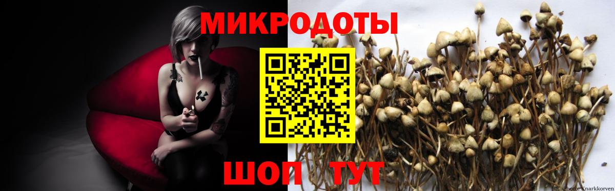 Строитель  Галлюциногенные грибы Magic Shrooms  Вход с VPN 